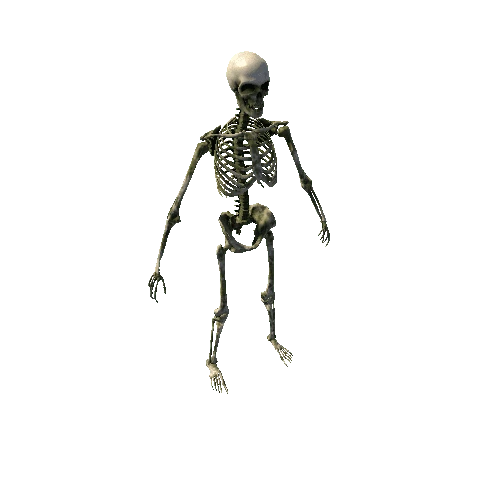 SK_Skeleton_SandMoss Variant